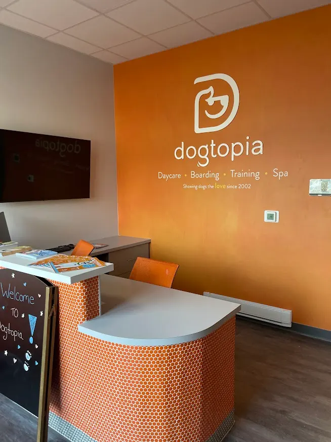 Dogtopia