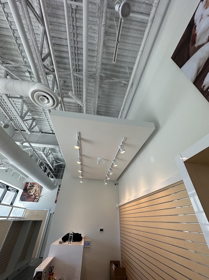 bone-biscuit gallery photo 6