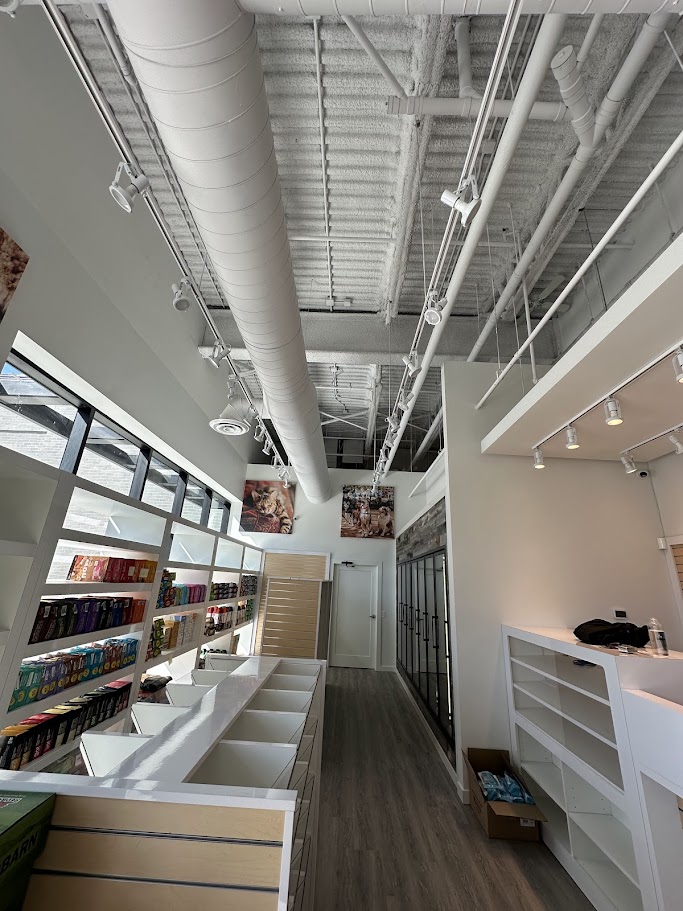 bone-biscuit gallery photo 7