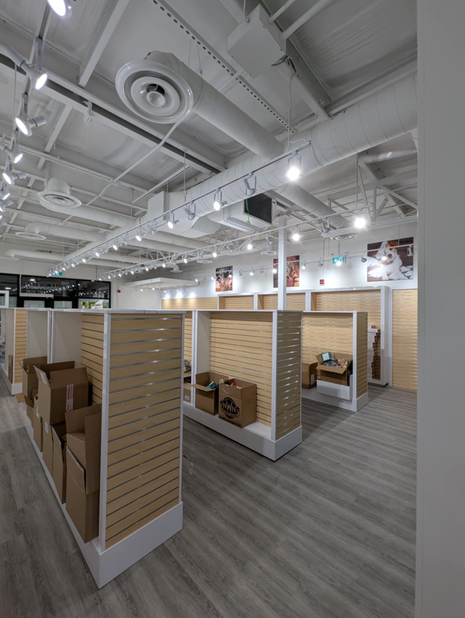 bone-biscuit gallery photo 17