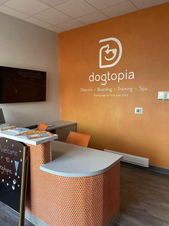 dogtopia gallery photo 1