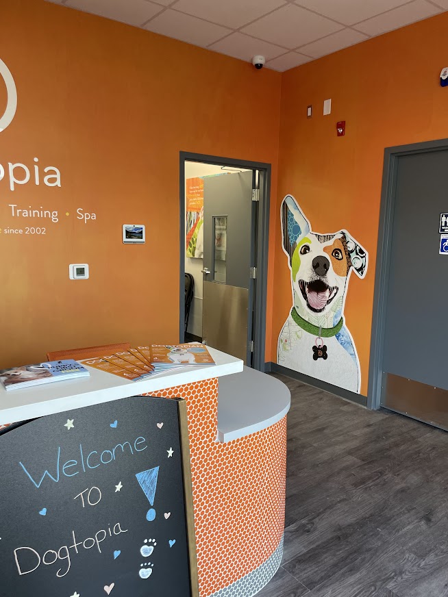 dogtopia gallery photo 2