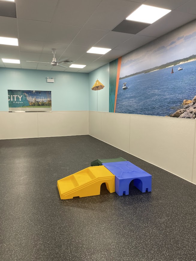 dogtopia gallery photo 4