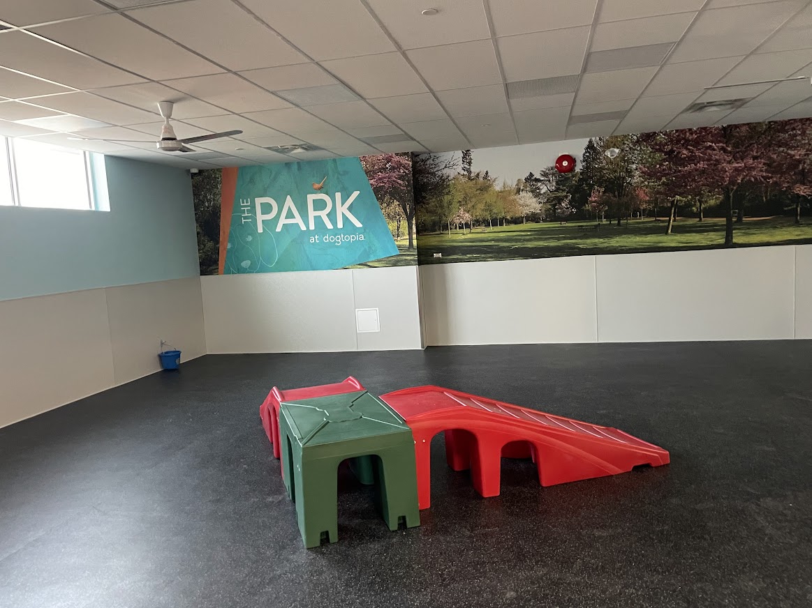 dogtopia gallery photo 6